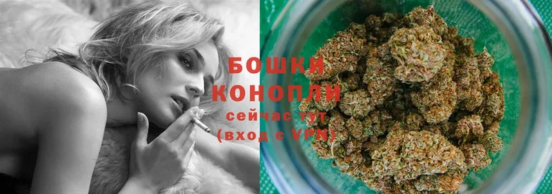 Марихуана конопля  продажа наркотиков  Новотроицк 